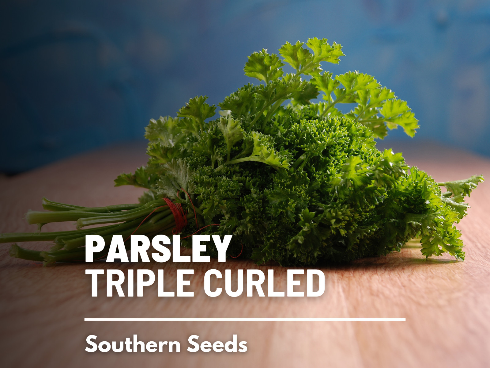 Parsley, Triple Curled- 200 Seeds – GMO Free (Petroselinum crispum)