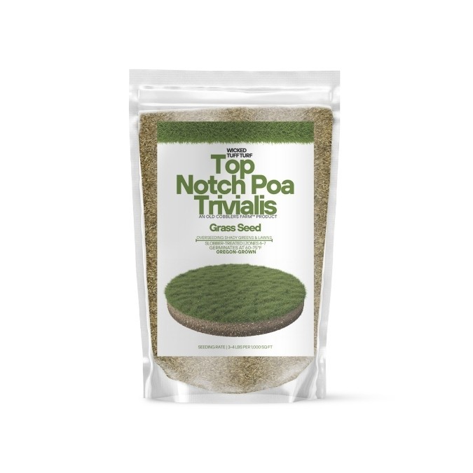 Old Cobblers Farm™ Wicked Tuff Turf Top Notch Poa Trivialis- Fast-Growing Lawns