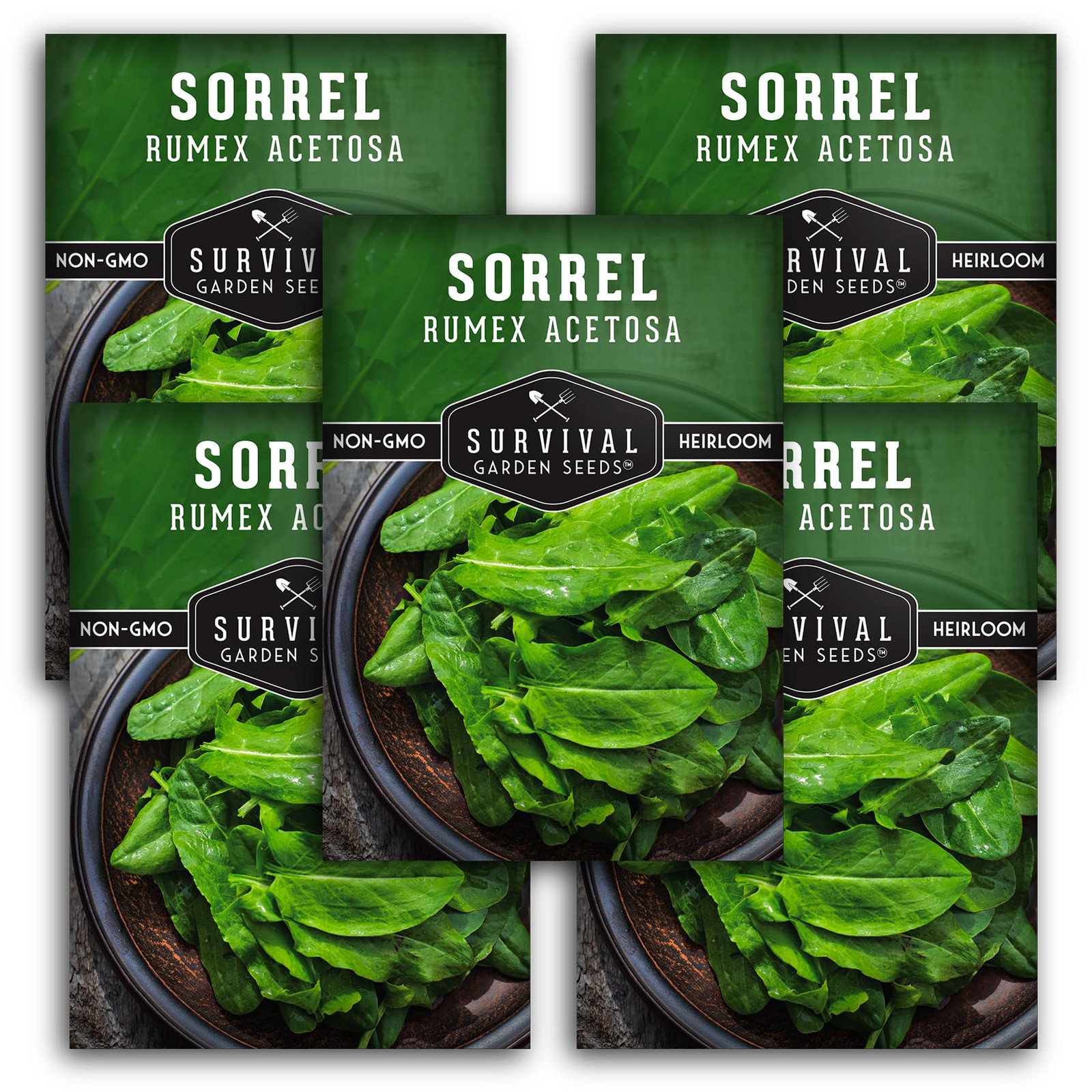 Buy Sorrel Seeds Large Leaf Perennial Vegetable for Edible Greens 5 Packs