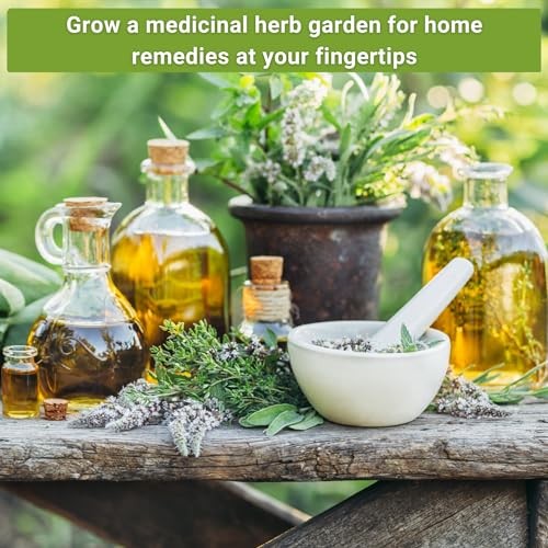 – Large Medicinal Herb Seed Collection for Planting – Chamomile, Echinacea,
