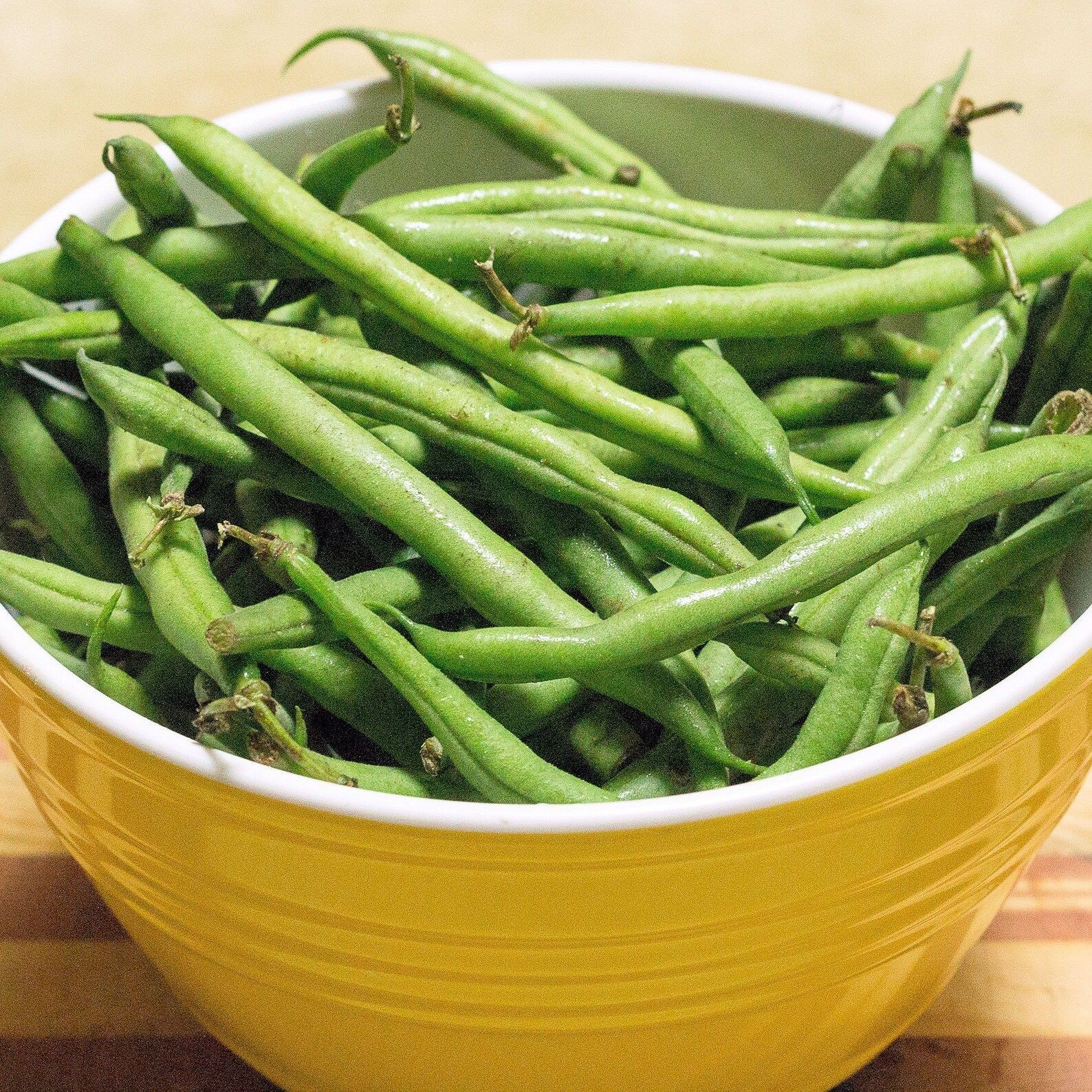 25 Heirloom Jade II Vegetable Bean Seeds!
