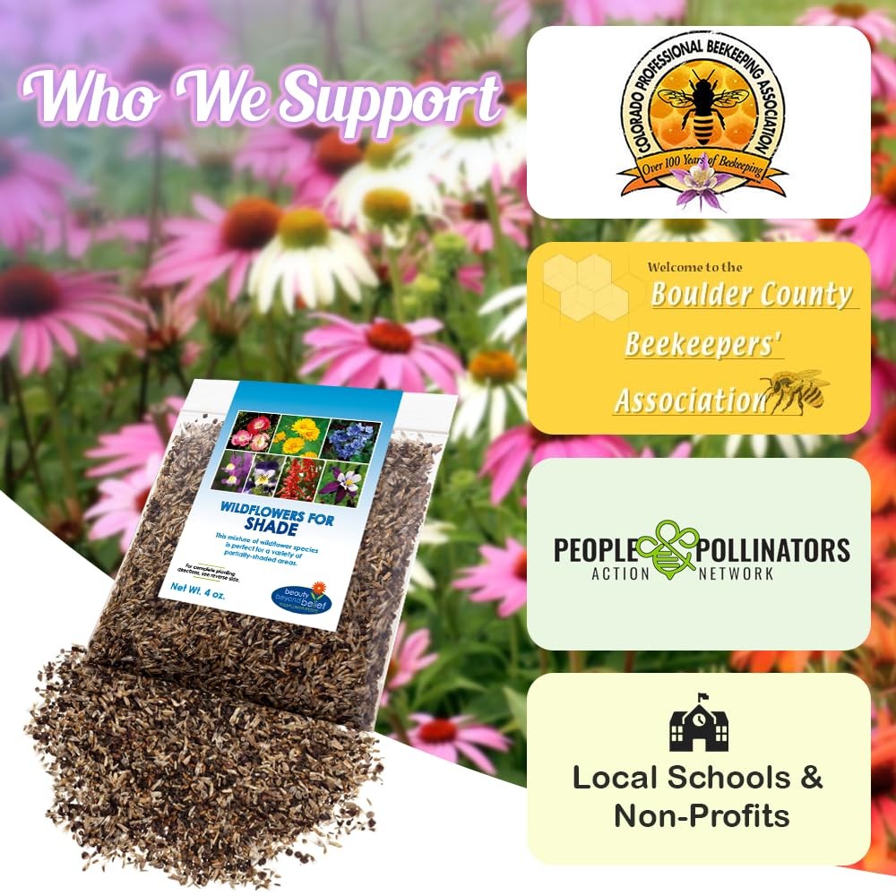 Partial Shade Wildflower Seeds Mix 4oz OpenPollinated Annual & Perennial