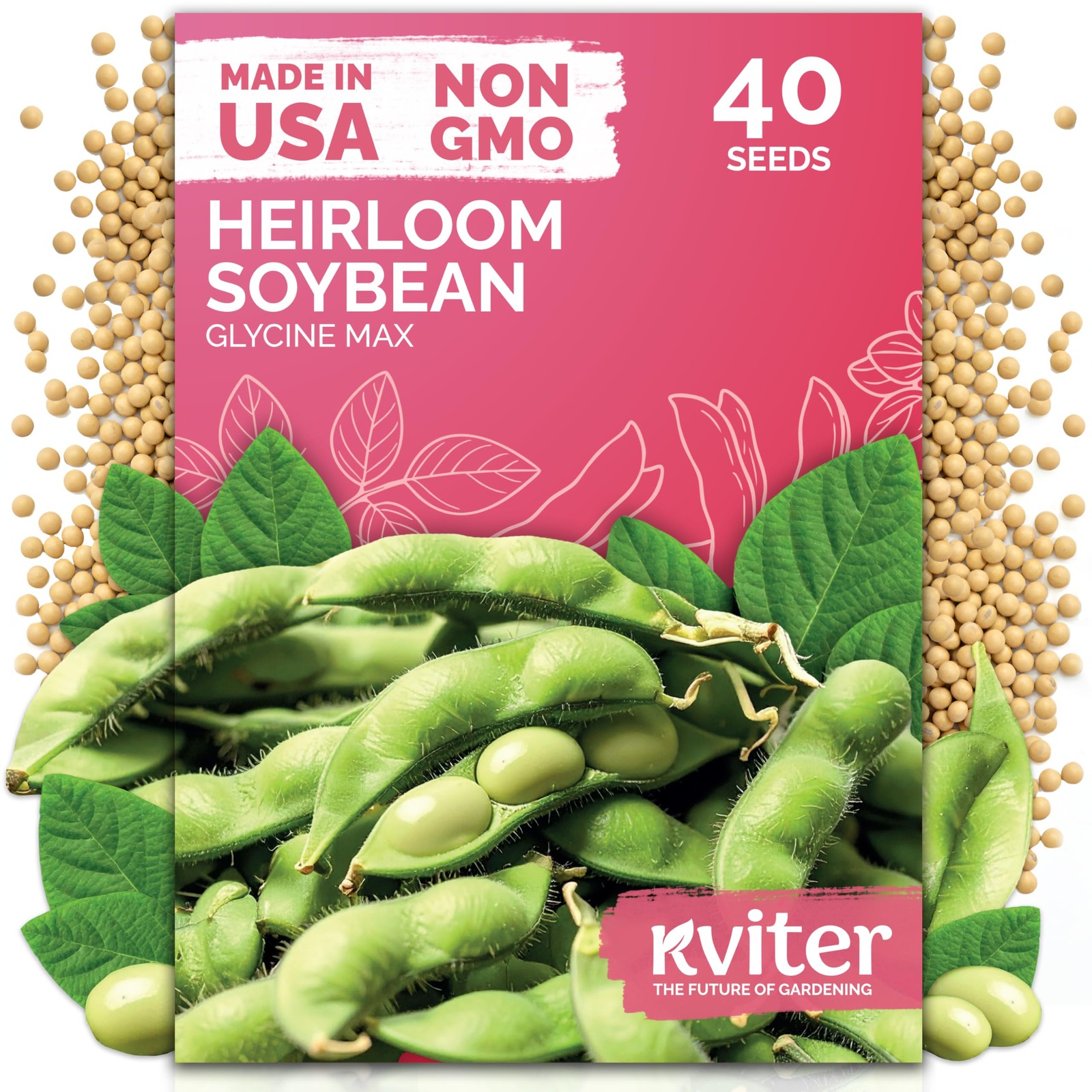 KVITER 40 Soy Bean Midori Giant Edamame Seeds (Glycine max)