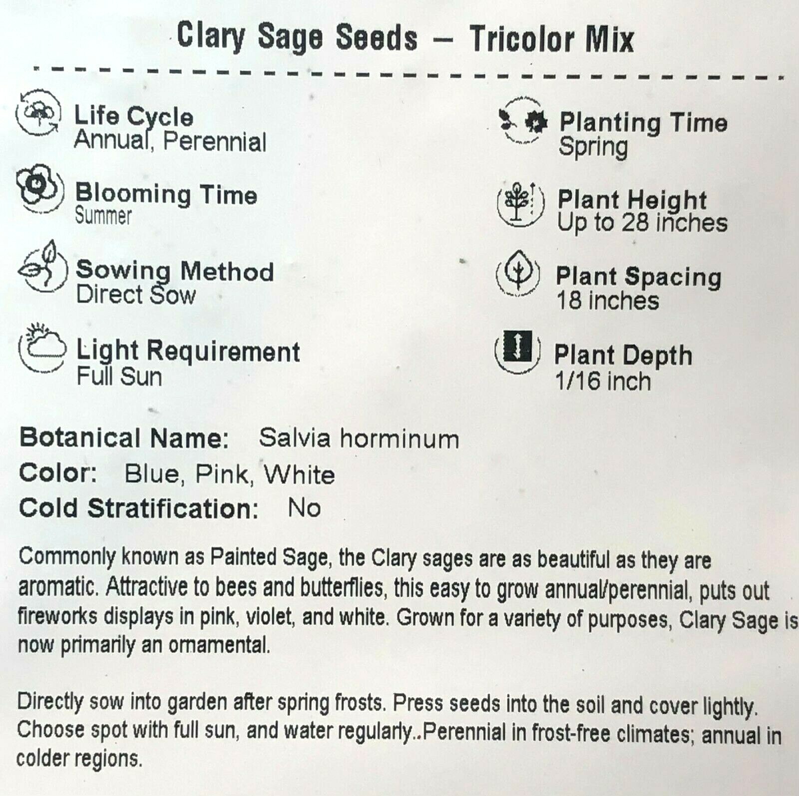 Clary Sage TRICOLOR MIX Salvia Painted Sage Native Wildflower Non-GMO 200 Seeds