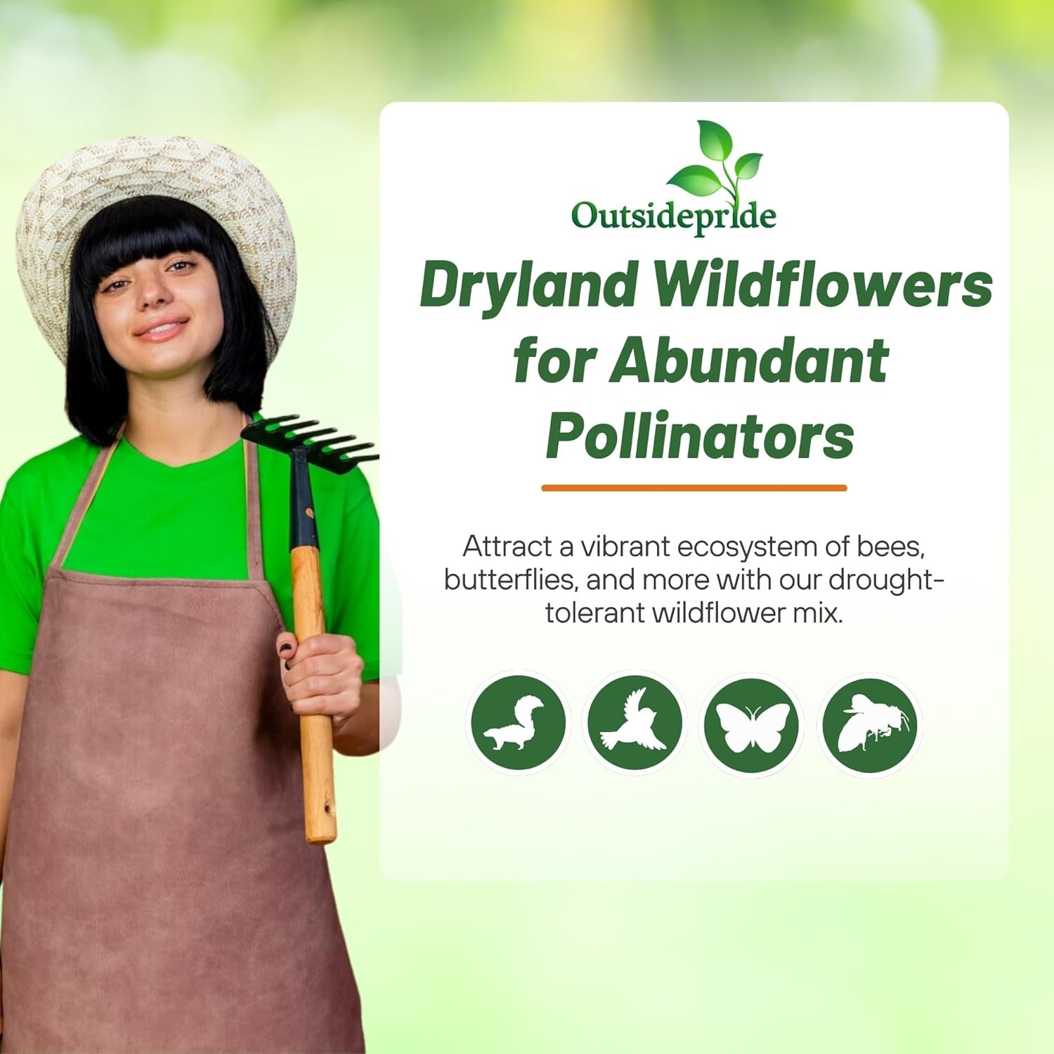 Outsidepride Dryland Wildflower Seed Mix – 1/4 lb. Colorful Blend of Drought Tol