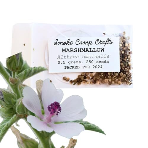 Smoke Camp Crafts Marshmallow Herb Plant Seeds (Althaea officinalis) 250 Seeds