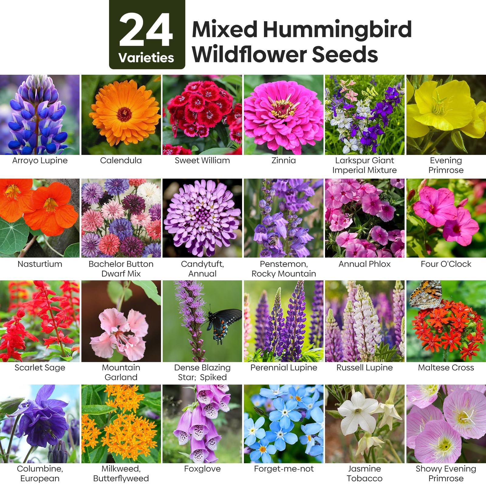 Wildflower Seeds Mix, 24 Varieties Perennial & Annual Seeds for Hummingbirds …