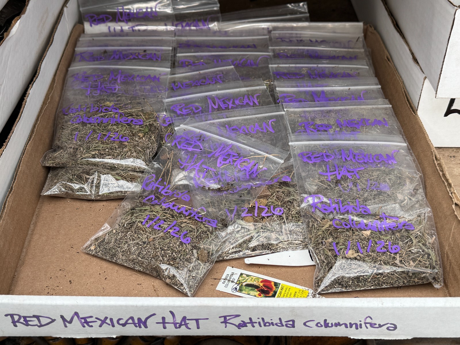BULK SEEDS!…Ratibida columnifera.Mexican hat/Upright Prairie Cone.QTY/bag=1000