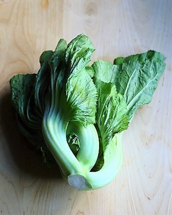 1000+ Shuidong Mustard, Oriental , Gai Choi, Brassica Juncea,Cải dưa chua 2023