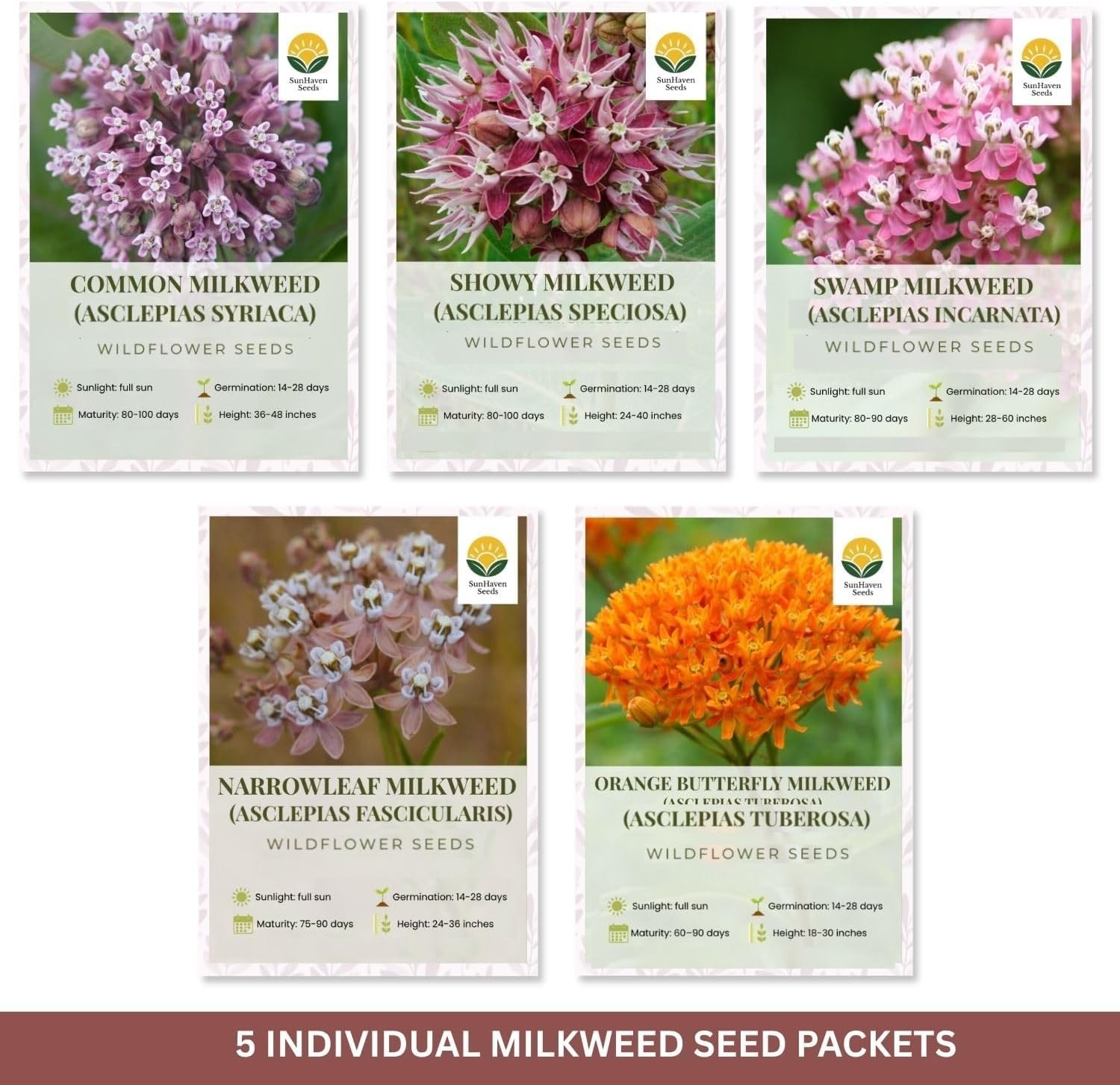Native Milkweed Variety Pack – 5 Essential Species for Monarch Butterfly Gardens