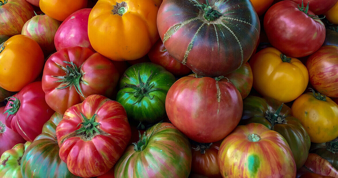 Tomato Mix HEIRLOOM Open Pollinated Bright Flavorful Colorful Non-GMO 100 Seeds!