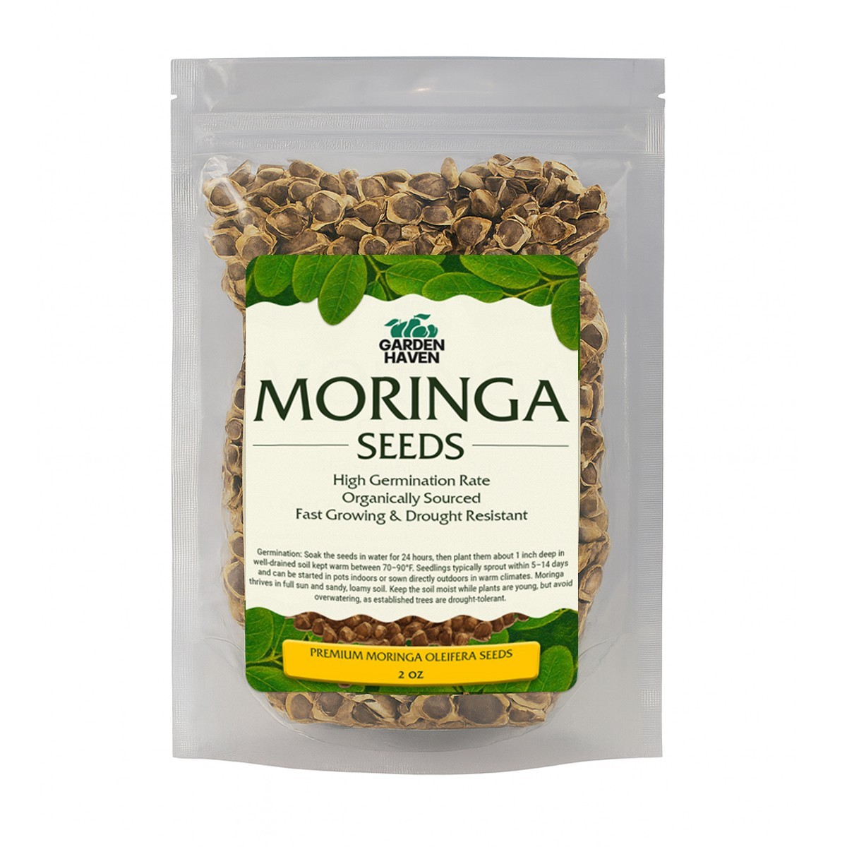 Moringa Oleifera Seeds for planting, Edible Excellent Germination Grade PKM1