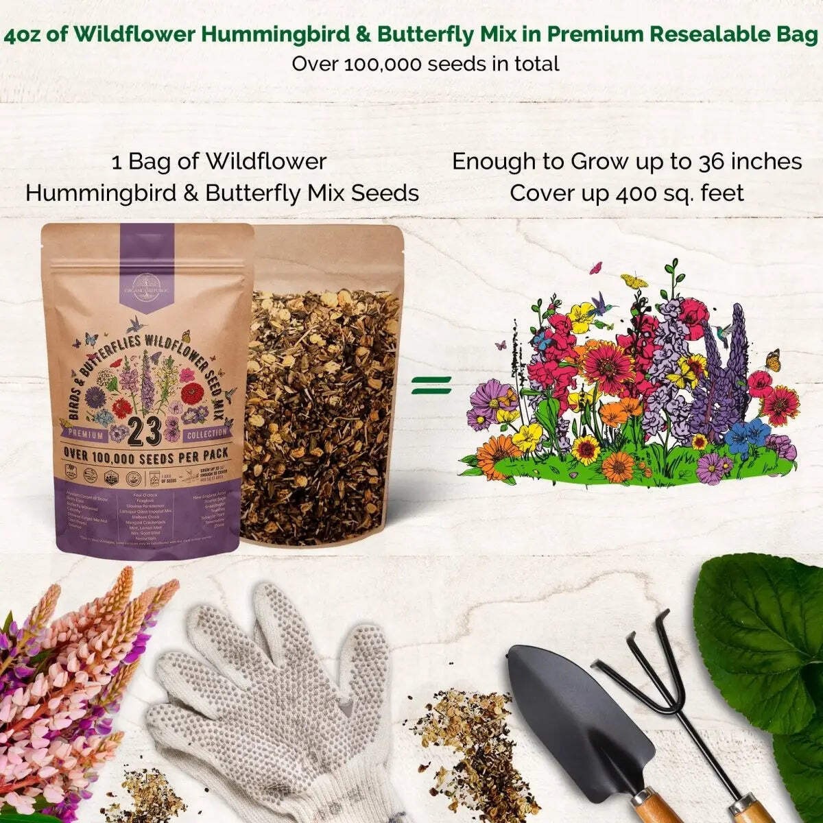 23 Wildflower Seeds Annual & Perennial Mix