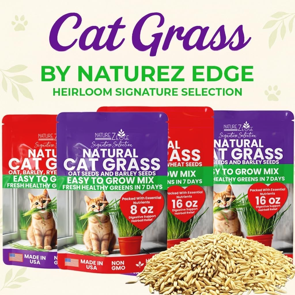 Cat Grass Seeds & Catnip Seeds – 3 Pack Variety Kit, Cat Grass for Indoor Cat…
