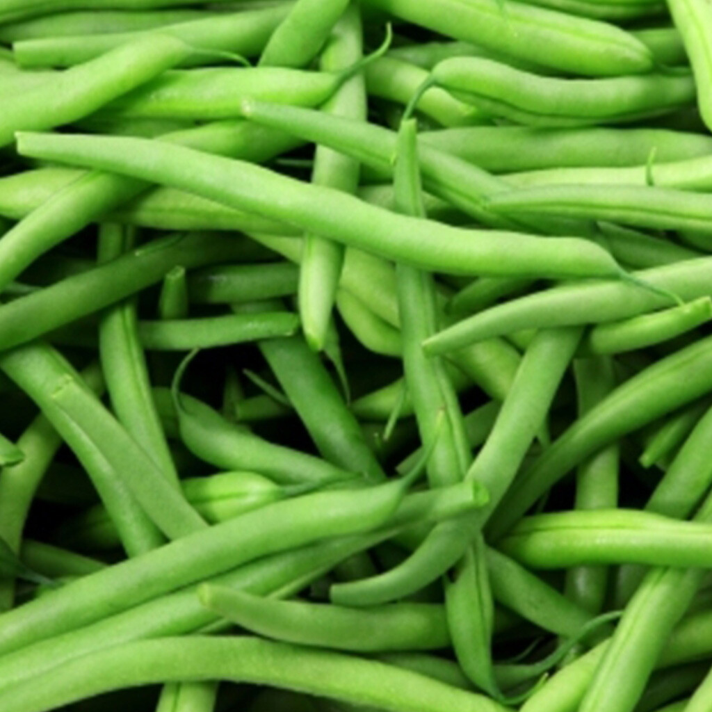 Kentucky Wonder Pole Bean Seeds 50 Ct Heirloom Vegetable Garden USA NON-GMO