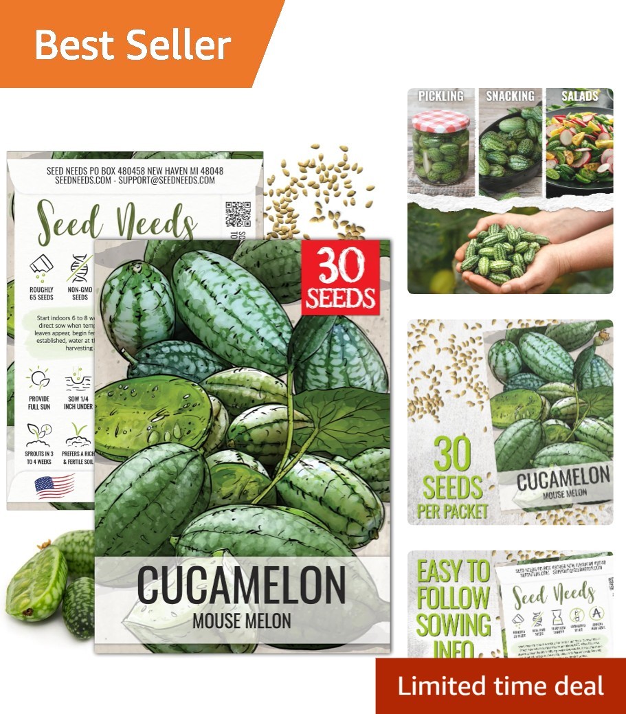 Cucamelon Seeds for Growing Mexican Sour Gherkin Heirloom Non GMO