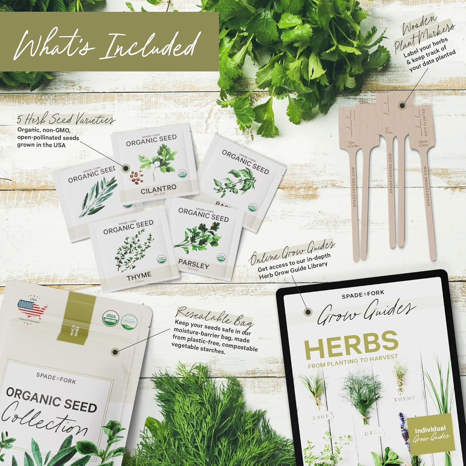 5 Certified Organic Herb Variety Pack (4X More) 2,800+ Non GMO for Planting In