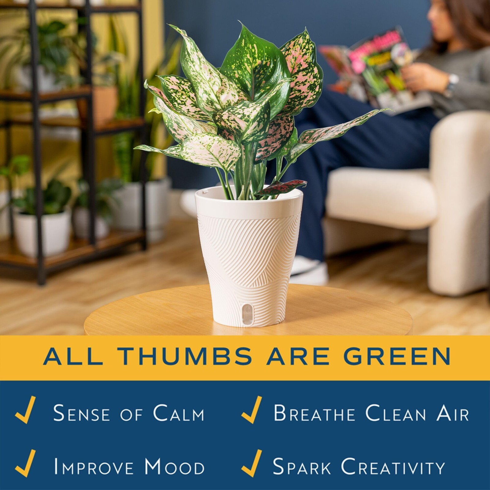 Trending Tropicals Aglaonema Live Indoor Plant, Self Watering Décor Plant Pot…