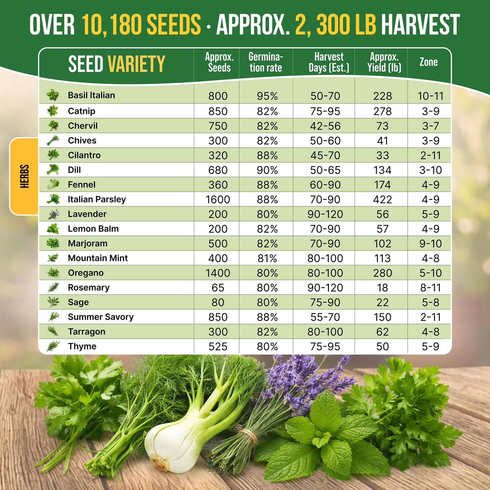 18 Culinary Herb Seeds Variety Pack – Heirloom, Non-GMO Seeds for Gardening