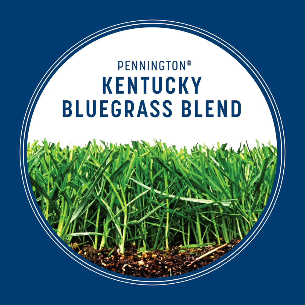 2 Pack Pennington Kentucky Bluegrass Mix, Sun & Partial Shade, 7 lb, Grass Seed
