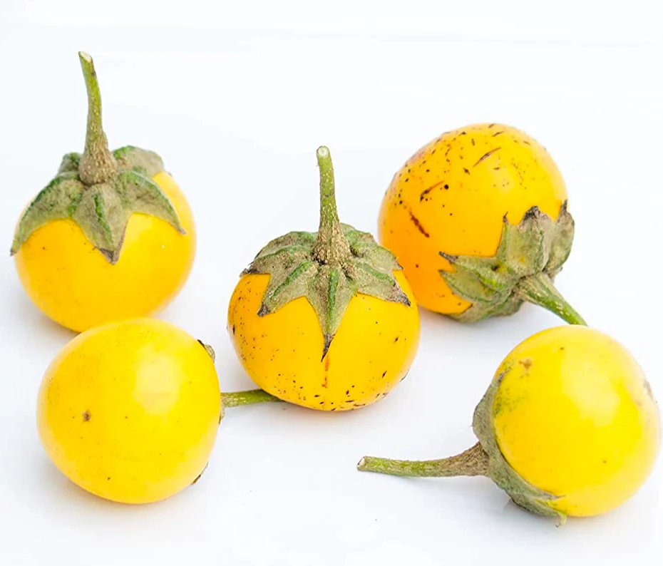 Golden Eggs Eggplant Seeds – For 2026 Planting Yellow Ornamental Small Baby