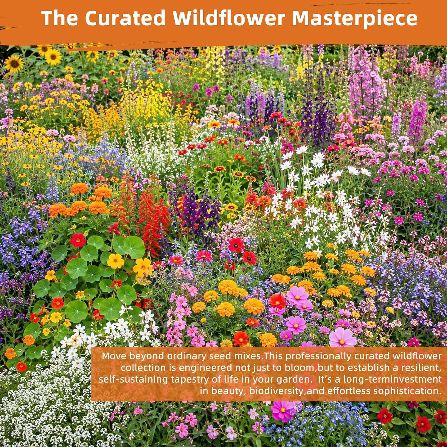 100,000+ Wildflower Seeds Bulk (4Oz) – 25 Varieties Annual & Perennial Mix, High