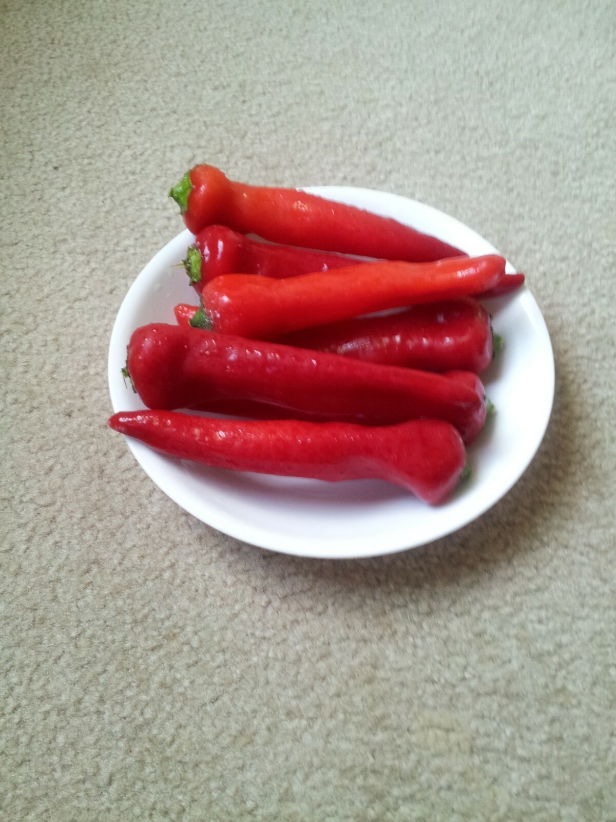 50+ Sweet Banana Pepper Seeds Super Prolific Non-GMO No Pesticides used No Heat