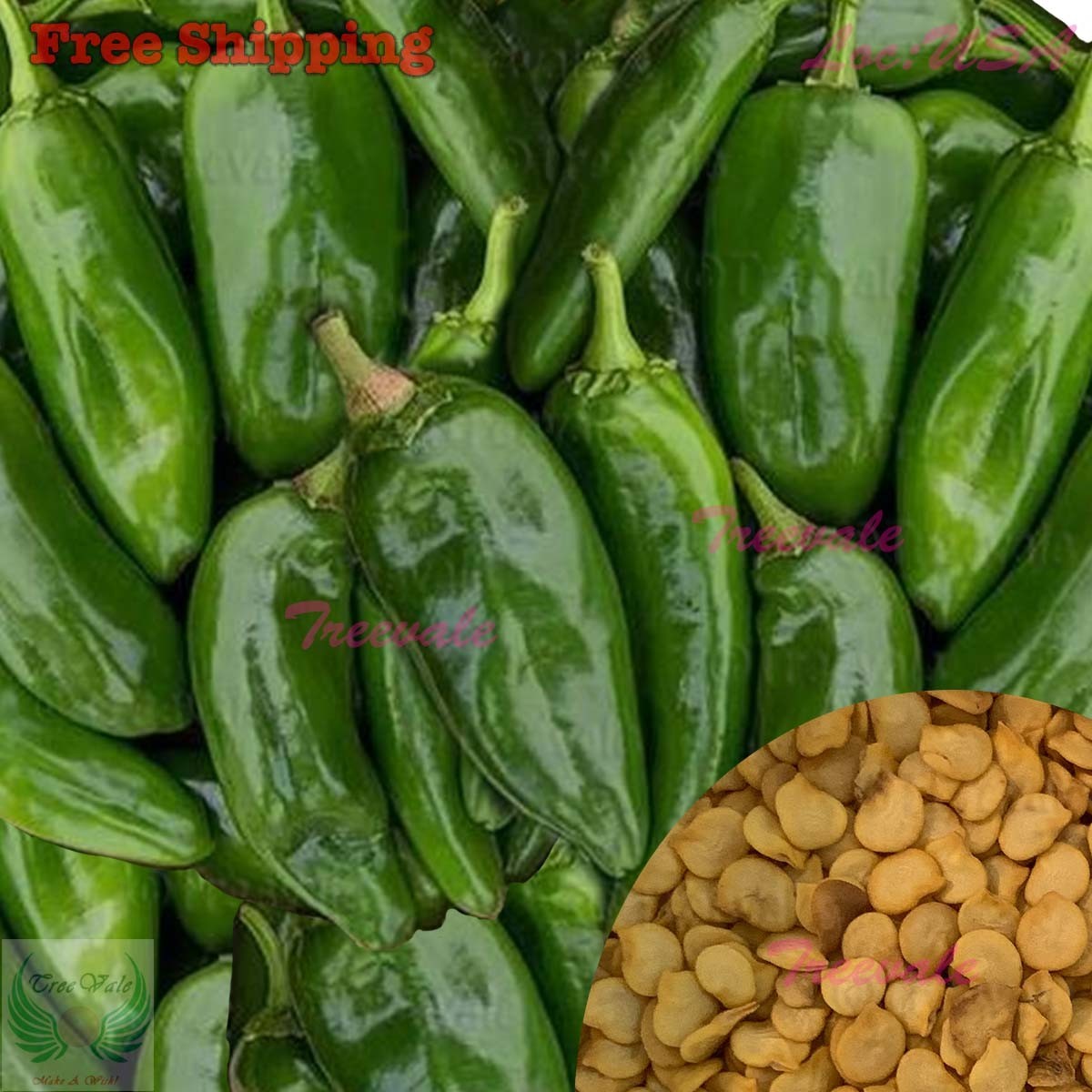 NuMex Sandia Hot Pepper Seeds | Sandia Hot Pepper / Sandia Green Chile Seeds