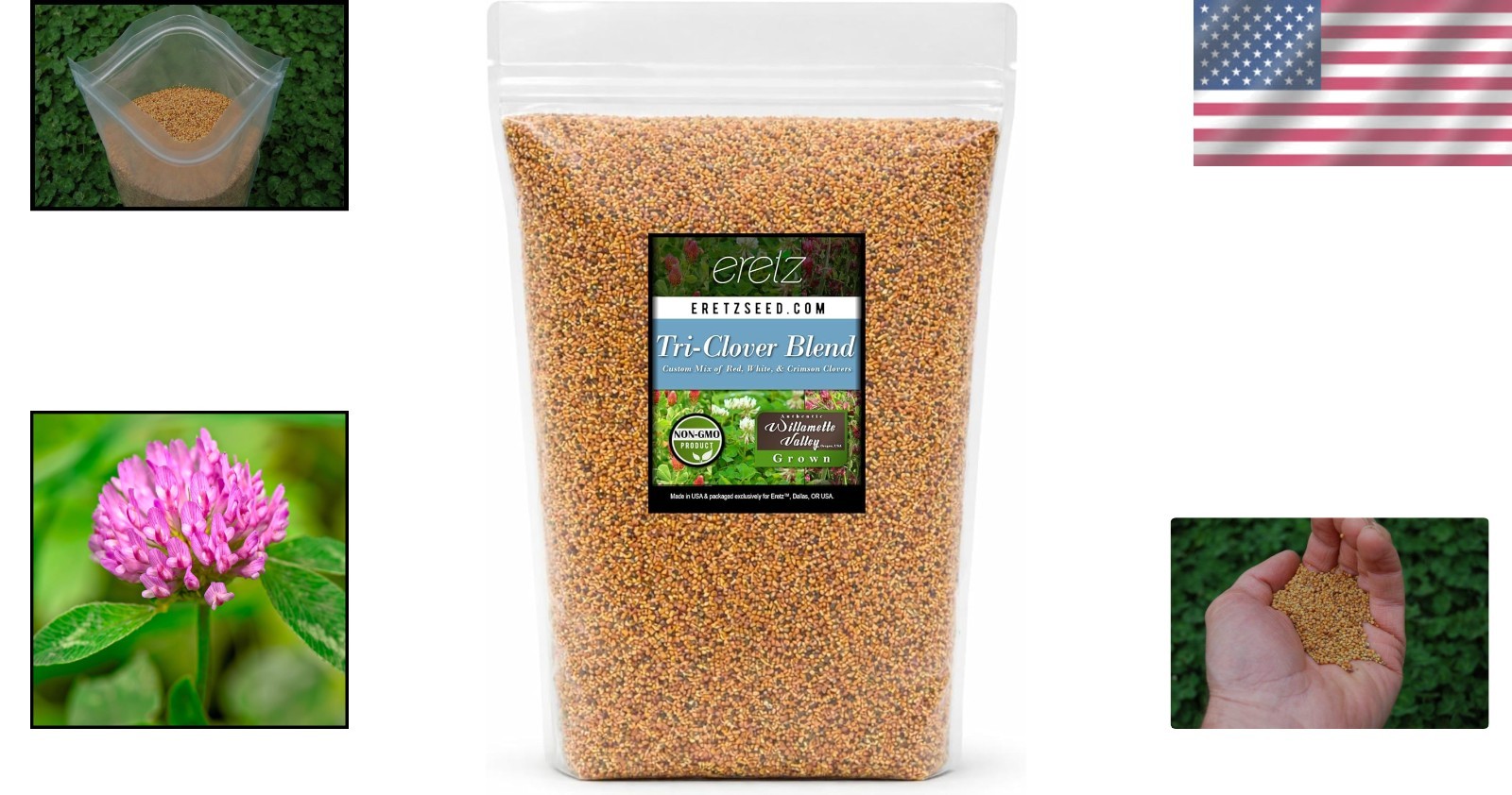 Five Pound Tri Clover Mix for Soil Health Beautiful Flowering Ground Cover