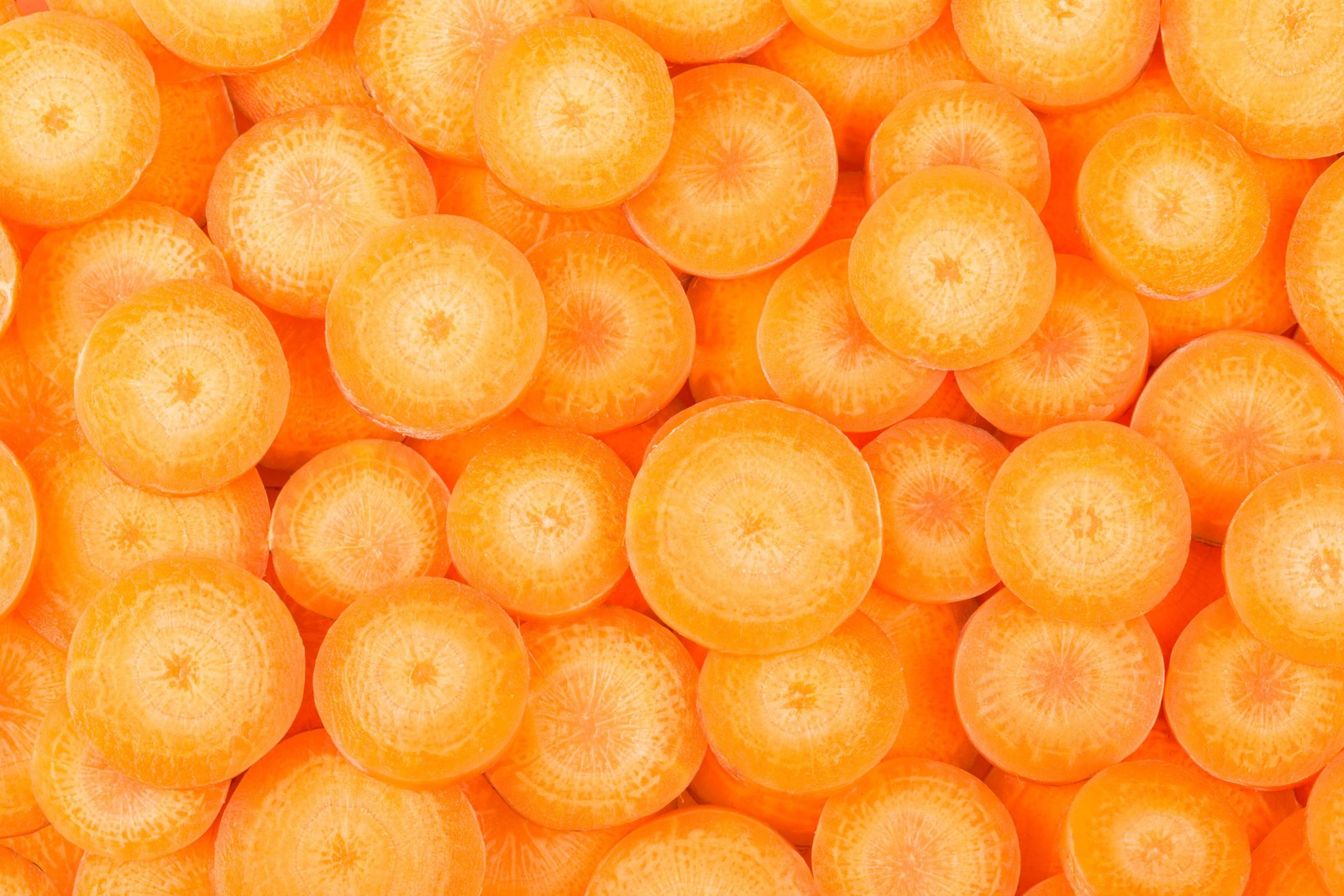 1500 IMPERATOR 58 CARROT Daucus Carota Seeds