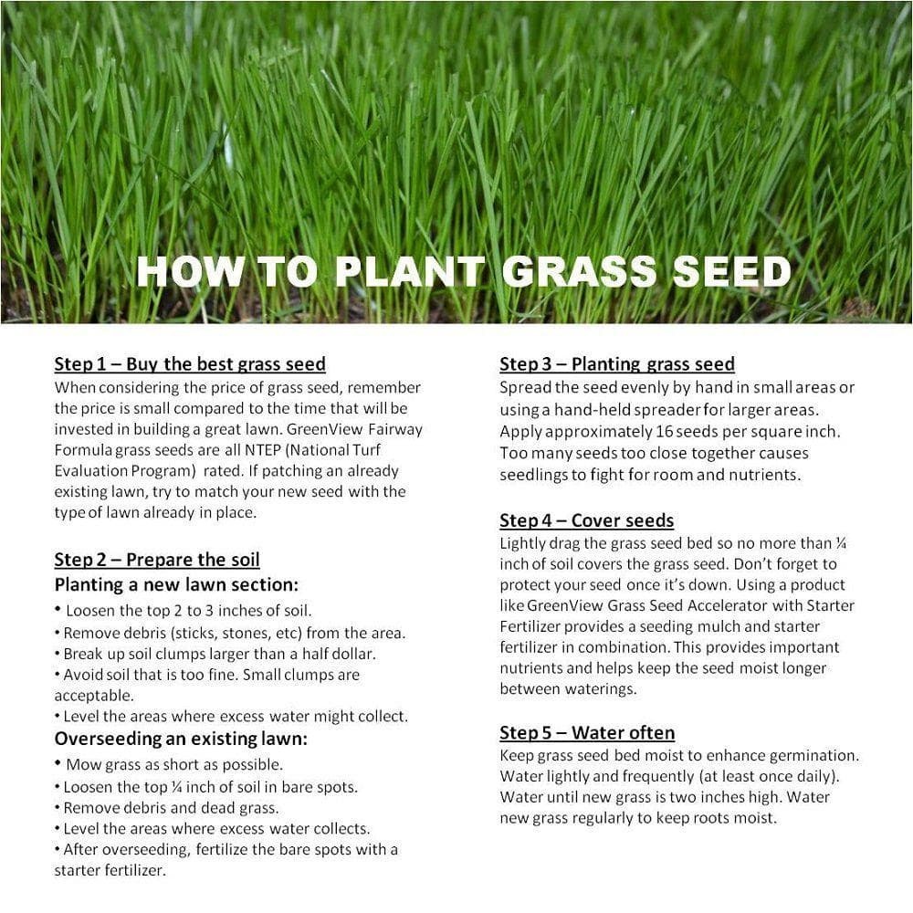 50 Lbs. Perennial Ryegrass Blend