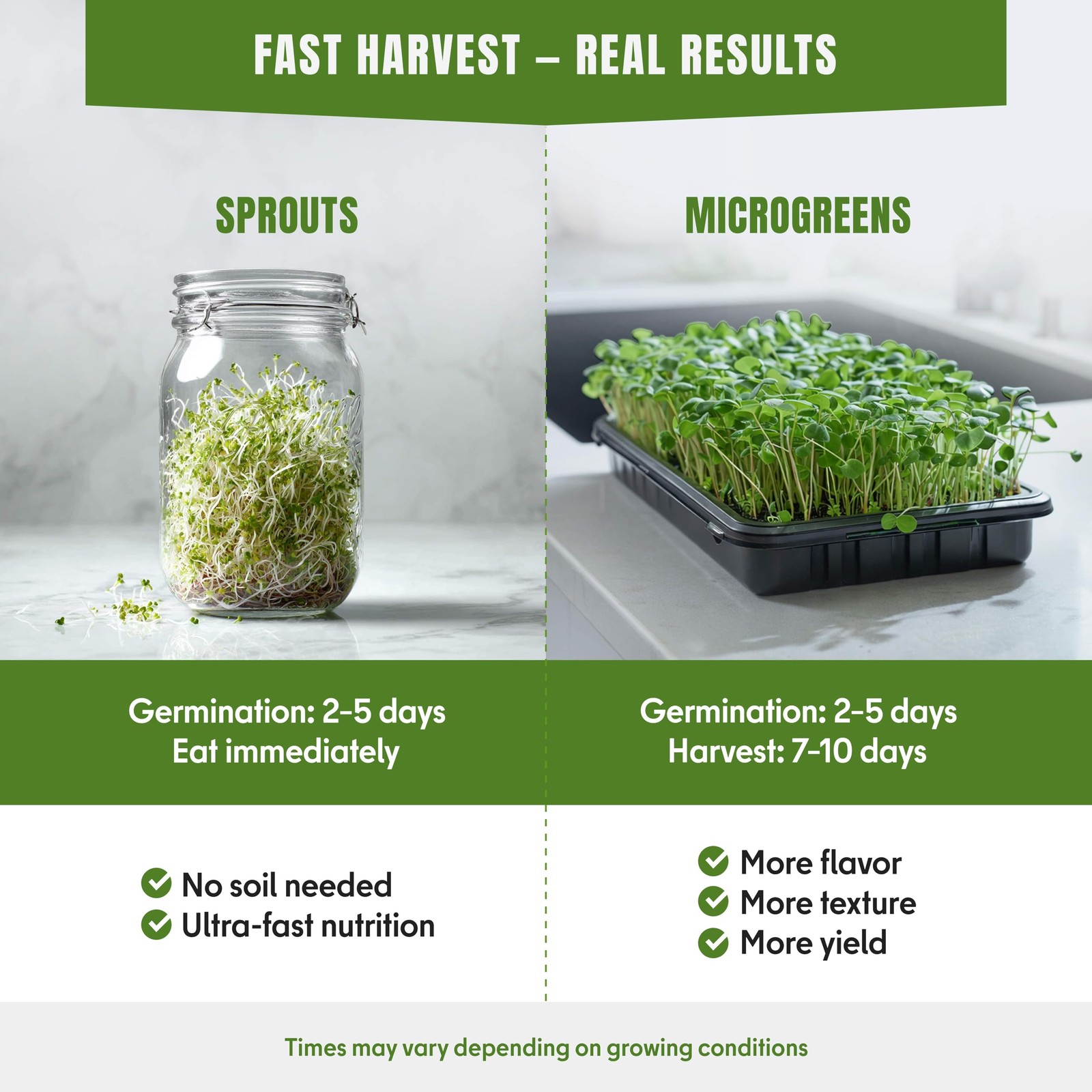 Microgreens Seeds Variety Pack – 5 NonGMO Heirloom Types for Indoor Hydroponics