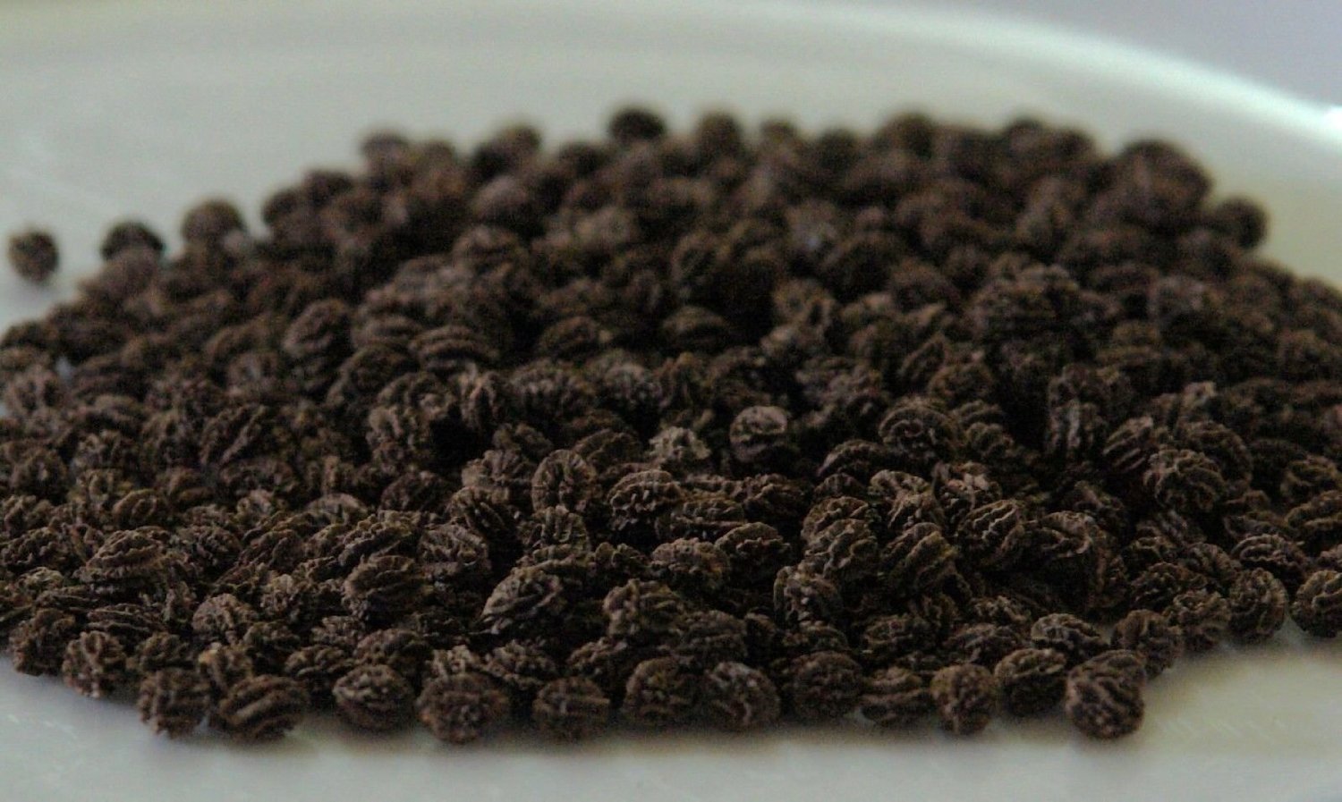 45 SEEDS ORGANIC VEGETABLE EXOTIC TROPICAL FRUIT CARICA PAPAYA GARDEN