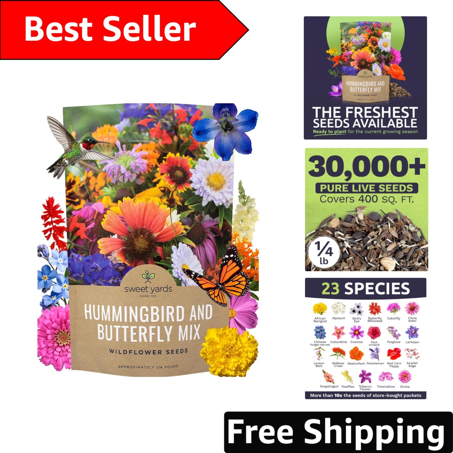 Vibrant Wildflower Seed Mix – 1/4 Pound Bag – Attract Wildlife with 30,000 Seeds