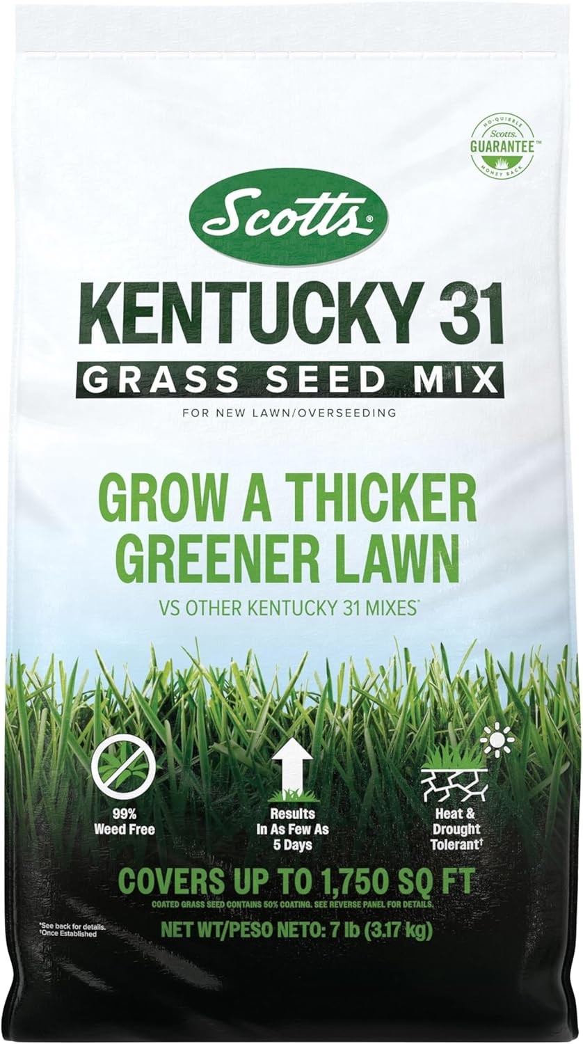 Scotts Kentucky 31 Grass Seed Mix for New Lawns or Overseeding, Grows Thicker an