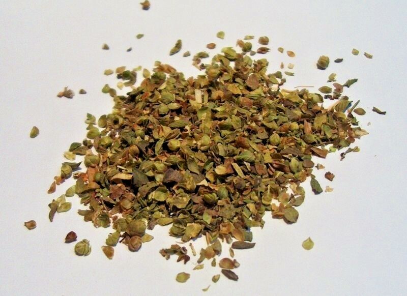 2000+ OREGANO SEEDS HERB PERENNIAL GREENS GREEK FRESH MEDICINAL NON-GMO HEIRLOOM