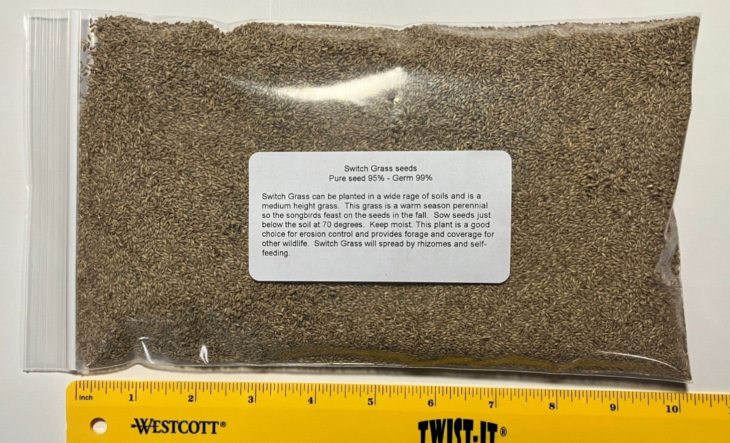1 lb SWITCHGRASS Seeds Native Tall Grass Prairie Ornamental Perennial pound