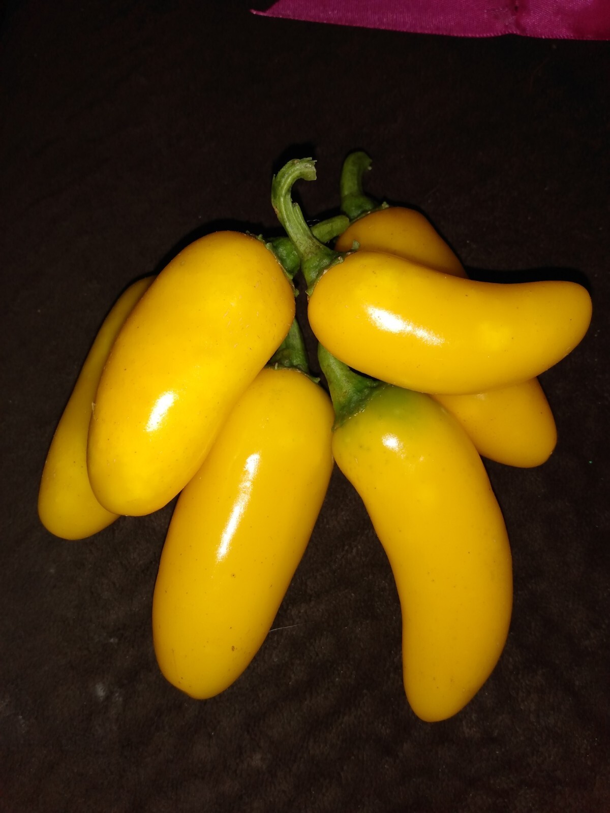 Numex Lemon Spice Jalapeno 10 Seeds Organic Non GMO