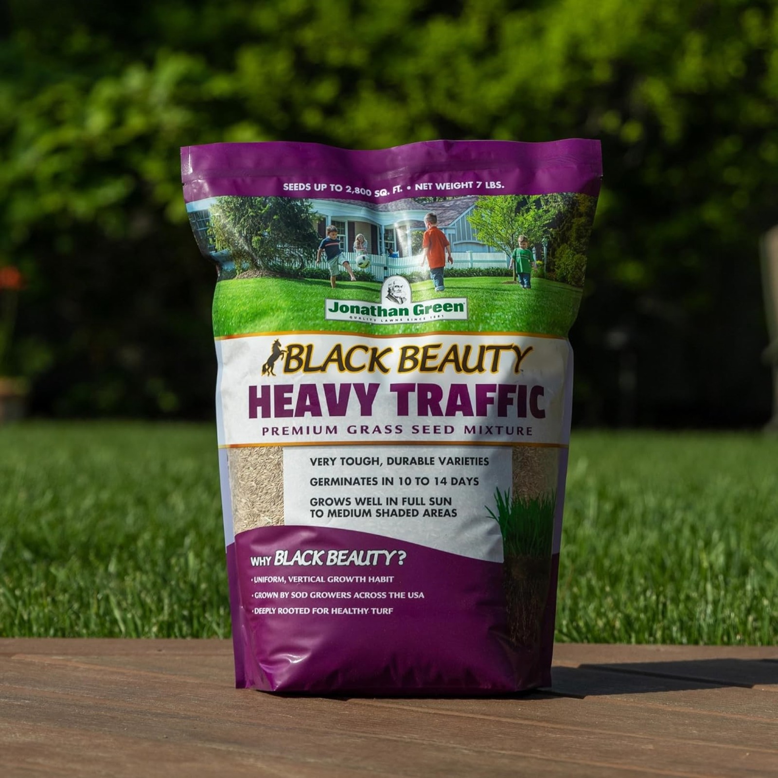 Jonathan Green Black Beauty Heavy Traffic Fescue Grass Seed, 7 Lb Bag, 2 Pack