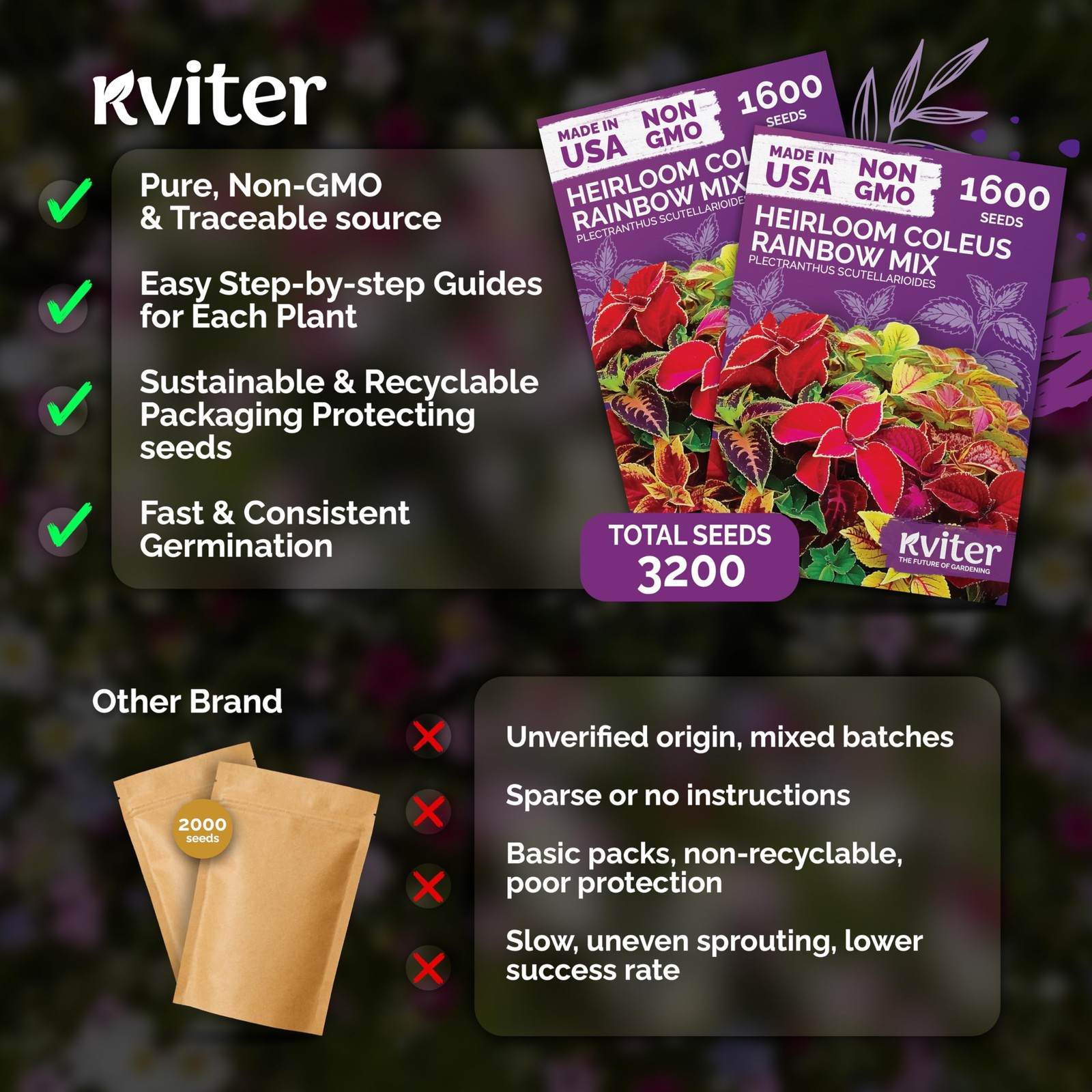 KVITER 3,200 Rainbow Coleus Mix Seeds (Plectranthus Scutellarioides), 2 Pack