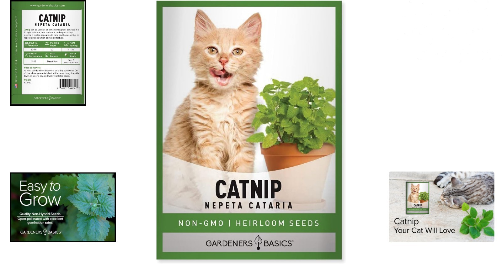 Nepeta Cataria Seeds – Heirloom & Non-GMO for Cat Happiness Indoors or Outdoors