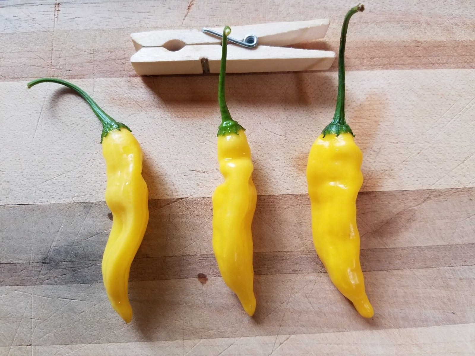 Lemon Drop / Aji Limon Pepper (25 Seeds) Free Shipping,crisp and spicy!