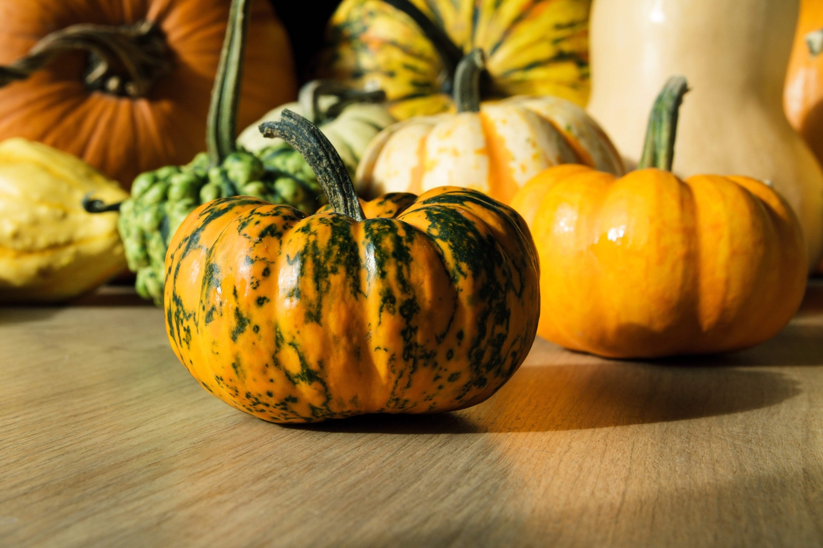 20 MINI MIX PUMPKIN Miniature Cucurbita Pepo White Green Orange Stripe Veg Seeds