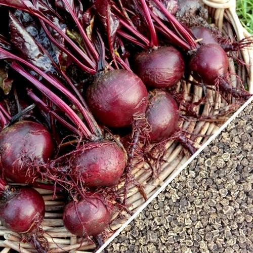 Bull’s Blood Beet Seeds 100 Ct Vegetable Garden NON-GMO USA SELLER FREE SHIPPING