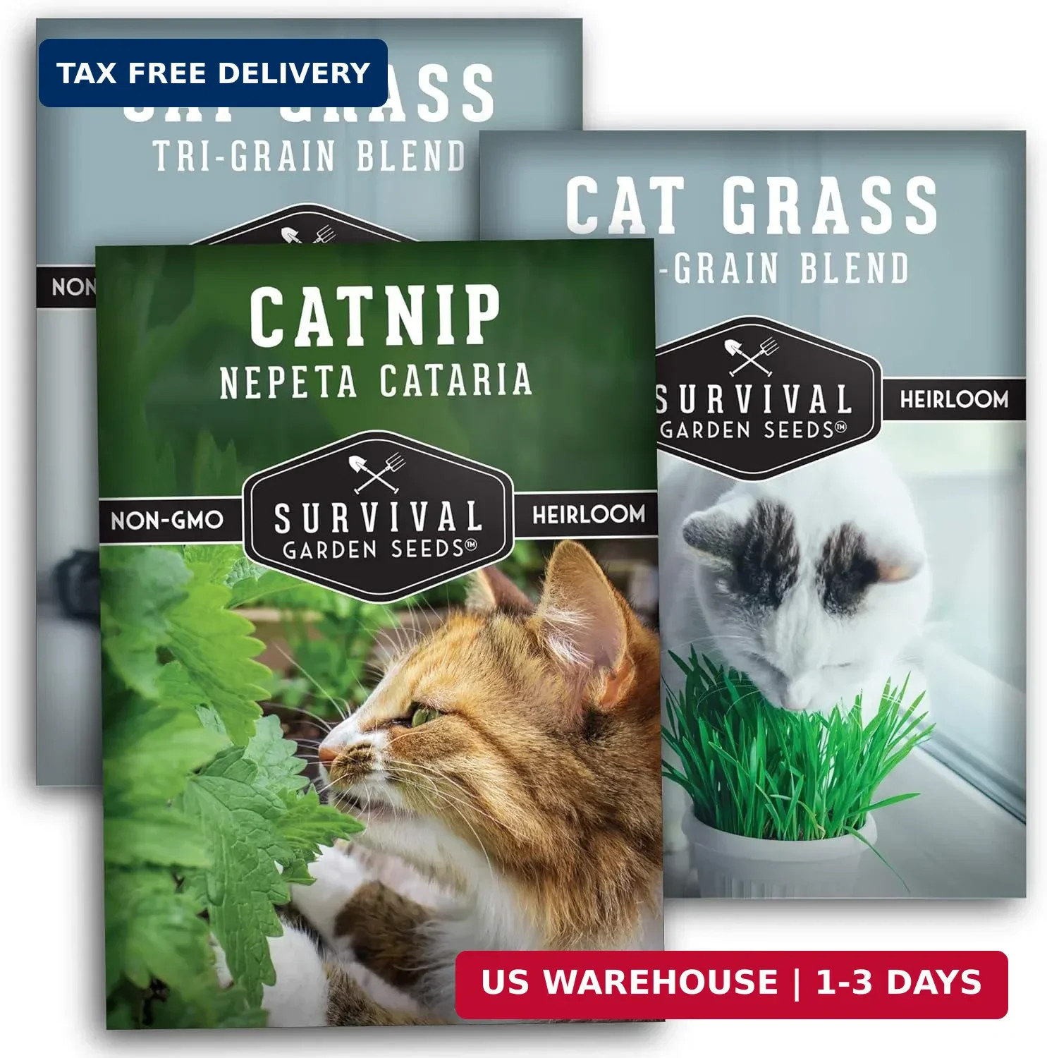 Cat Grass and Catnip Seeds Collection – 3 Packet Non-GMO Heirloom Planting Bundl