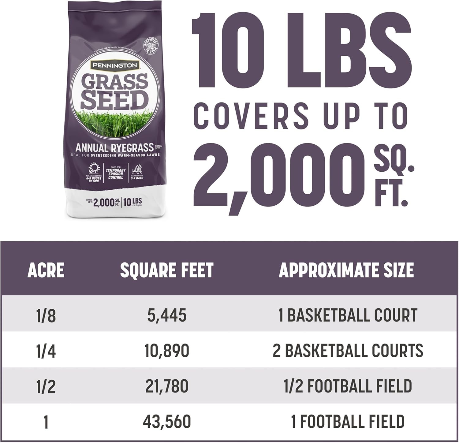 Disease-Resistant Annual Ryegrass Grass Seed for Quick Winter Coverage – 10 lb