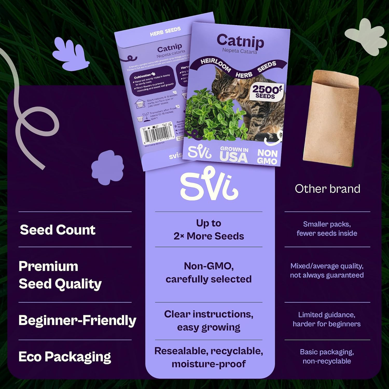 2500 Catnip Seeds (Nepeta Cataria) – Catmint, Best Catnip for Cats Seed Packets,