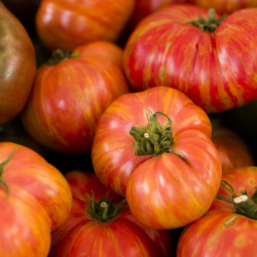 Hillbilly Heirloom Tomato Seeds 50 Ct Vegetable INDETERMINATE NON-GMO FREE S&H