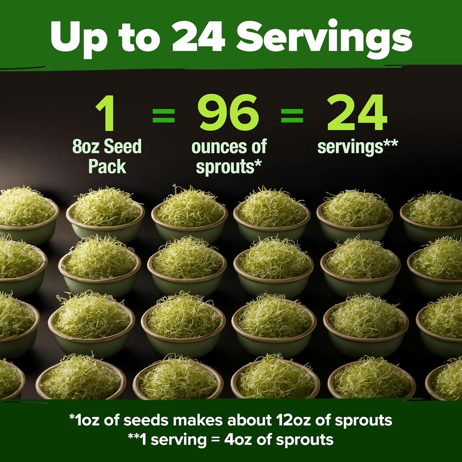 Bulk Alfalfa Sprouting Seeds 8 oz Microgreens Fast Growing Indoor Garden Seeds