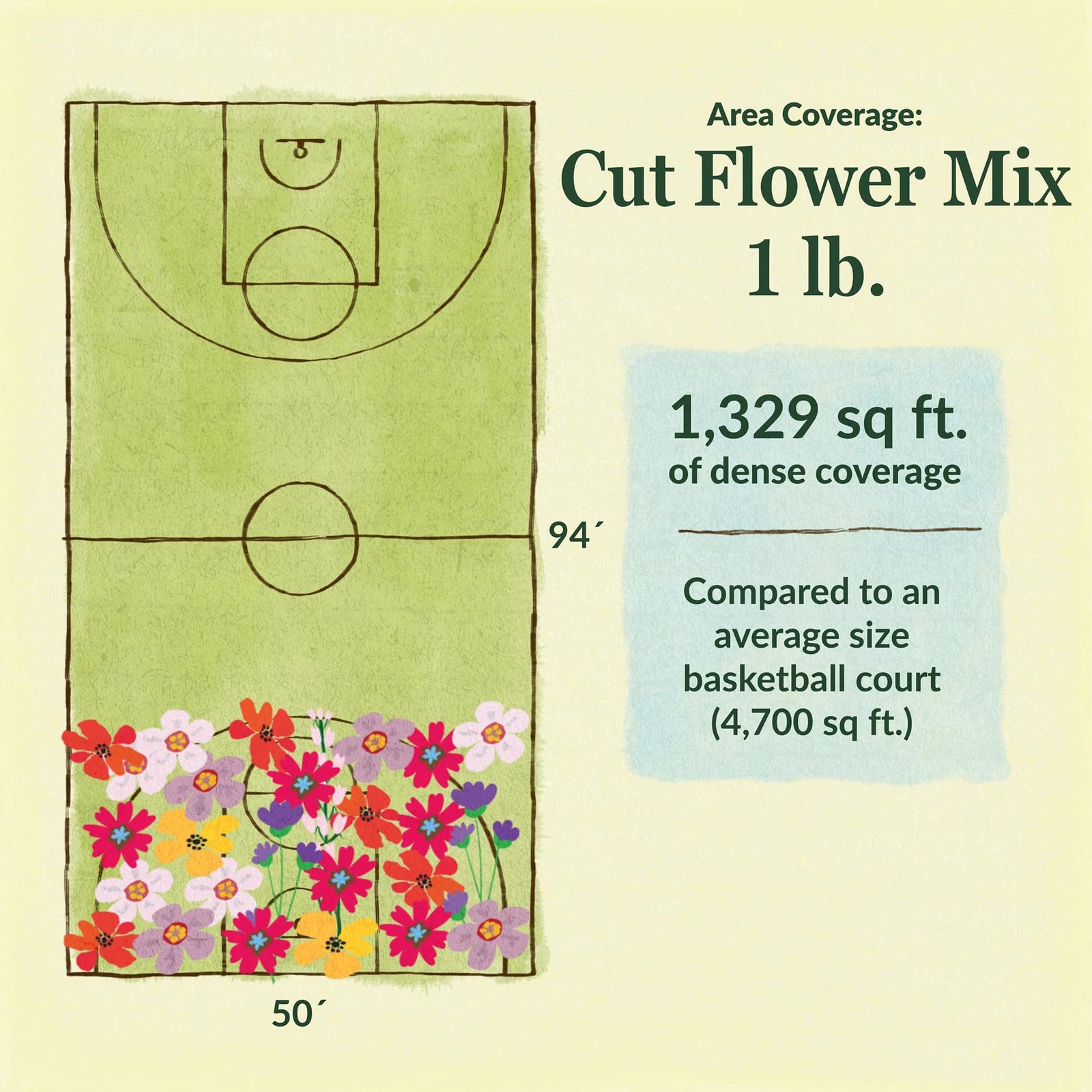 1 LB Cut Flower Mix Bulk Wildflower Seeds Garden Planting Floral Outdoors